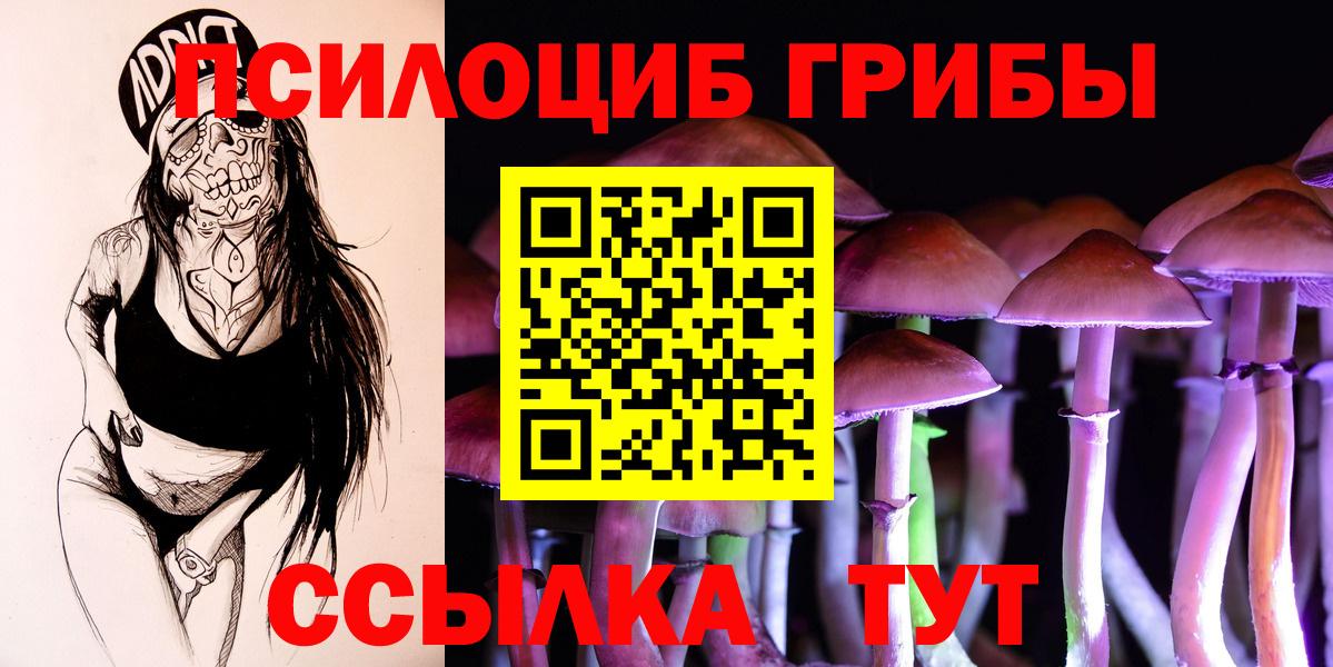 Нефтекумск  Галлюциногенные грибы Magic Shrooms  где найти   Вход с VPN 